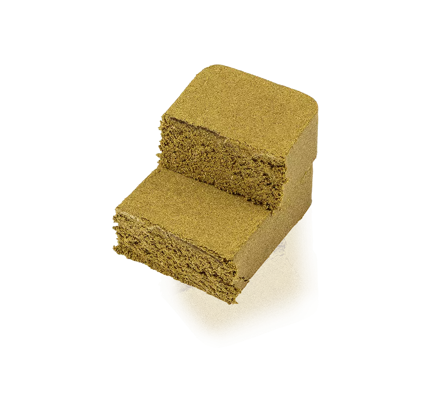 Cannabis Pollen CBD V1 XO