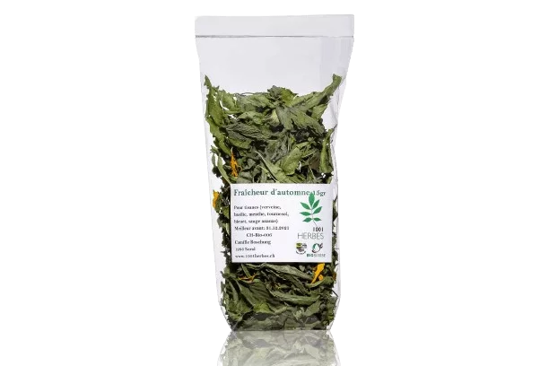 Infusion Fraîcheur d’automne