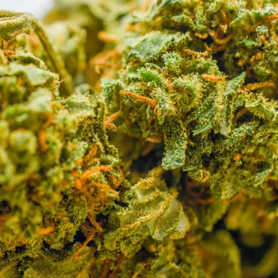 background pour résine