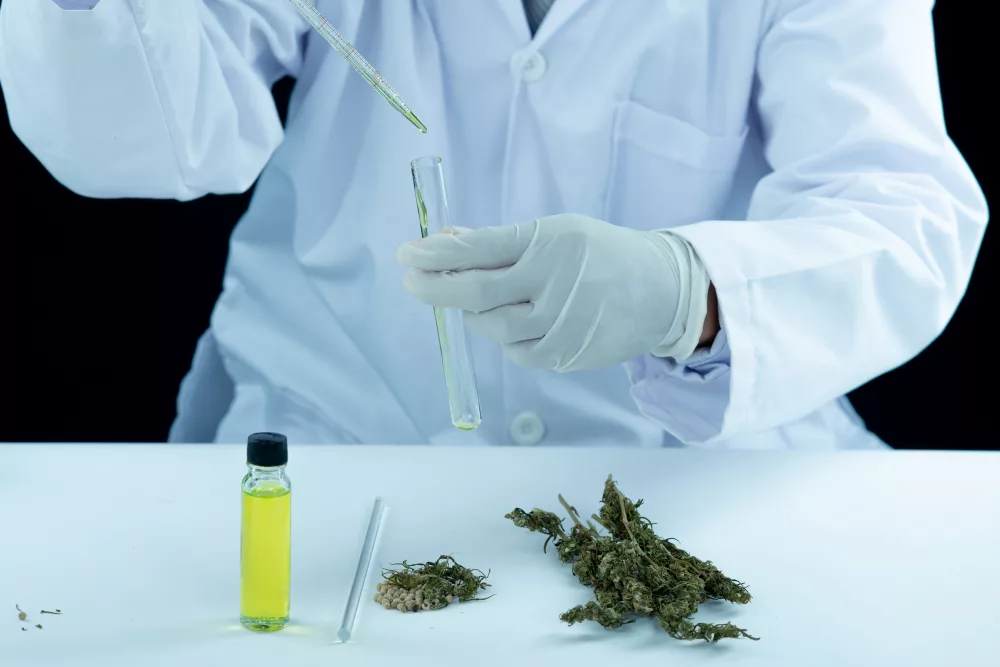 Le CBD est-il détectable dans un test urinaire ?