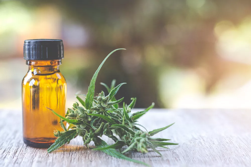 CBD puissant