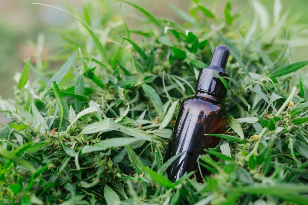 meilleur cannabidiol bio