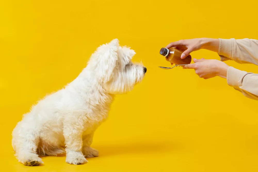 Meilleur Cannabidiol pour chien