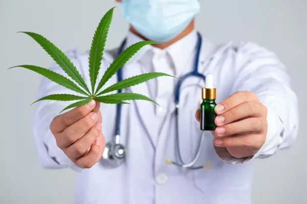 tout savoir sur le cbd : avis médical et législation en suisse